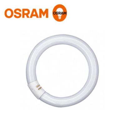 Osram Circular Fluorescent Lamp Basic T9 C L 32W/765 G10Q 305mm 4008321423047